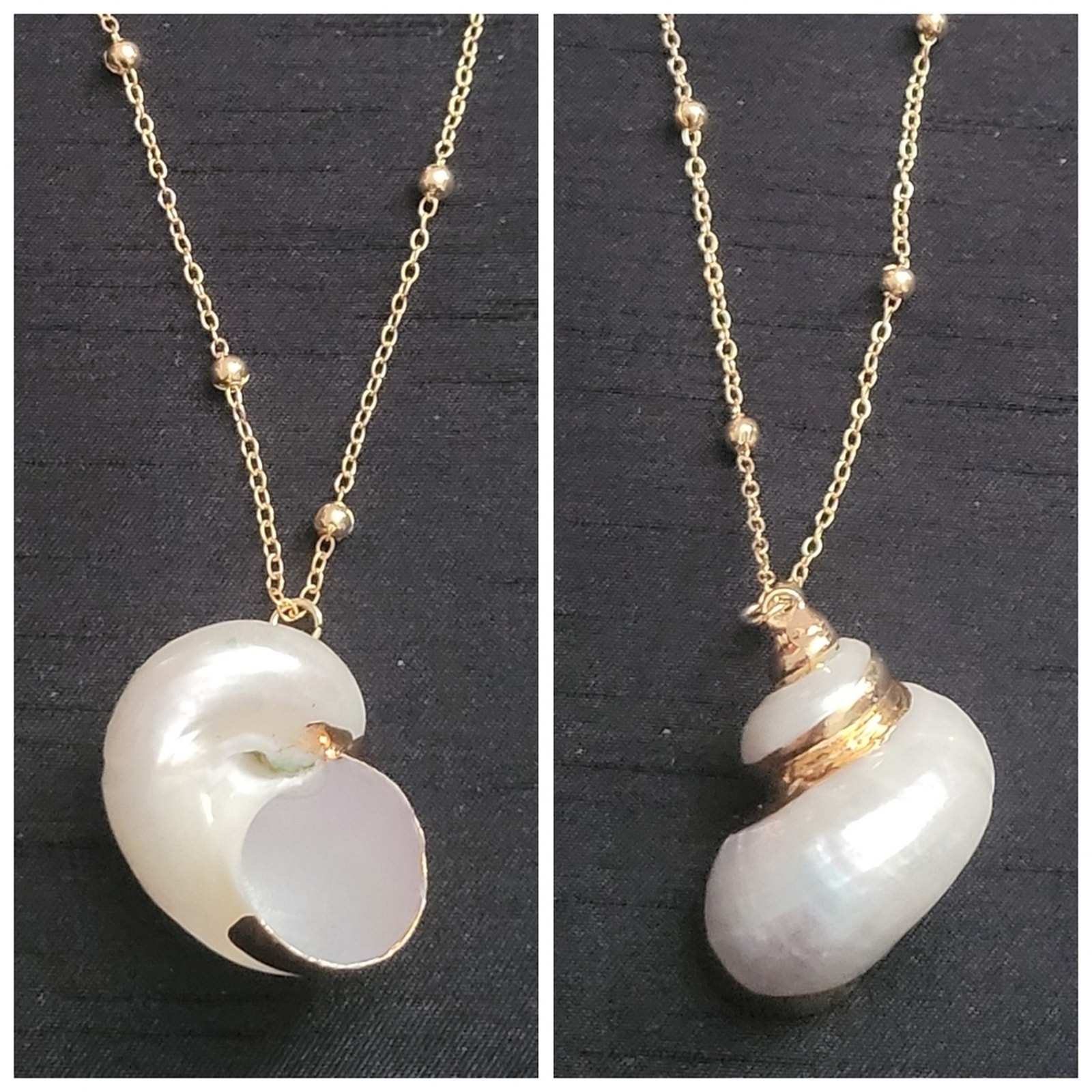 Beachy Sea Shell Necklace With Gold Accents On Dainty Satellite Bead Chain